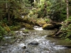Deception Falls Nature Trail