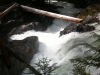 Deception Falls Nature Trail