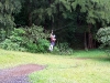 Zip Lining