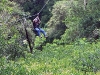 Zip Lining