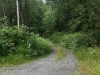 View down driveway